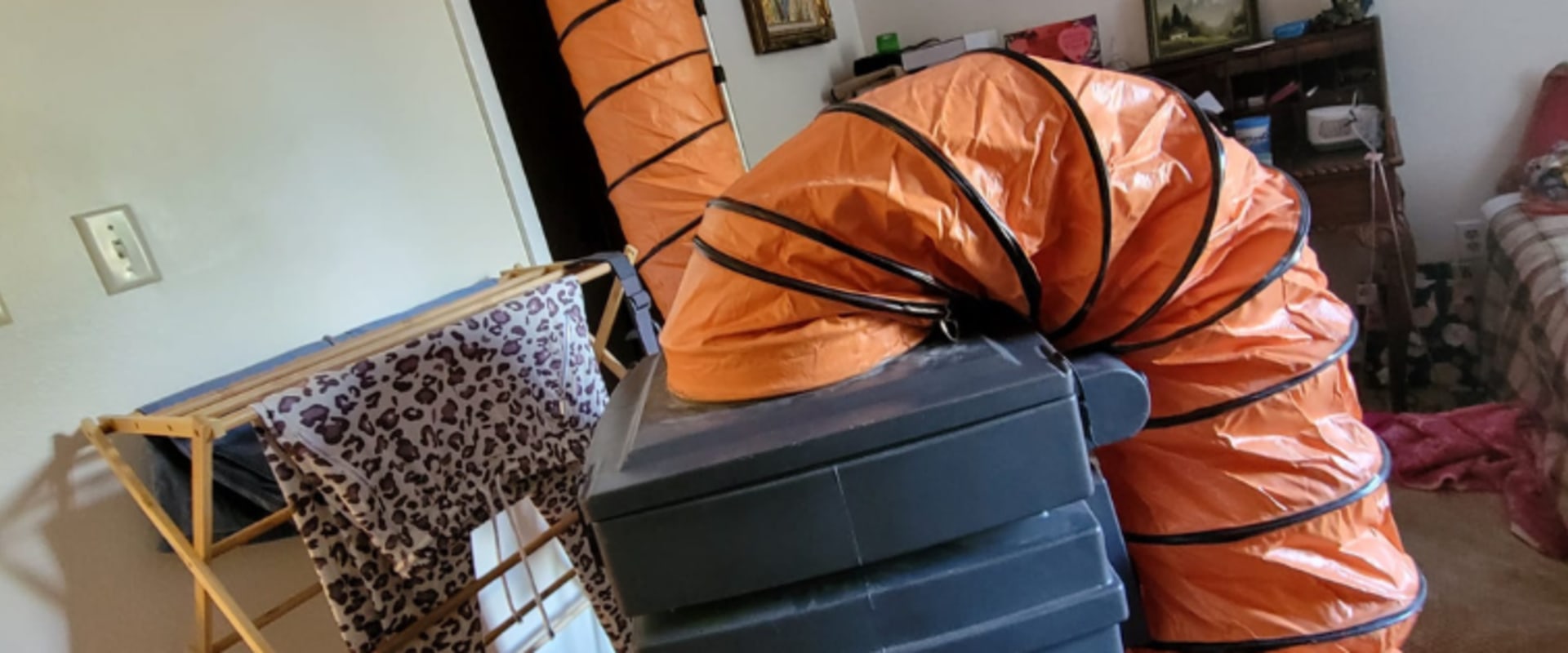 Should You Get Duct Cleaning When Buying a Home in Altamonte Springs?