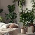 Love Green Spaces? Air Filtering Plants Boost Air and Mood