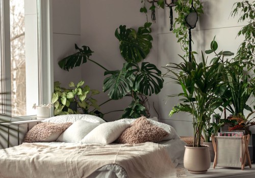 Love Green Spaces? Air Filtering Plants Boost Air and Mood